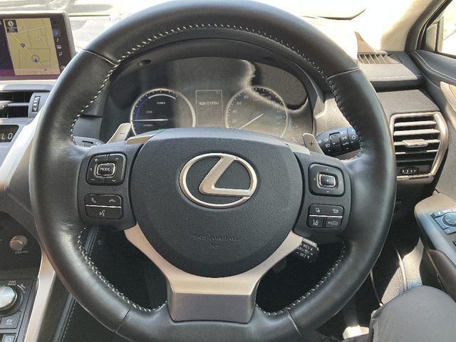 LEXUS NX300h AWD