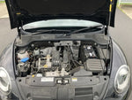 VOLKSWAGEN The BEETLE