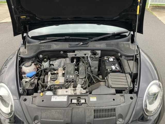 VOLKSWAGEN The BEETLE