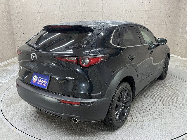 CX-30