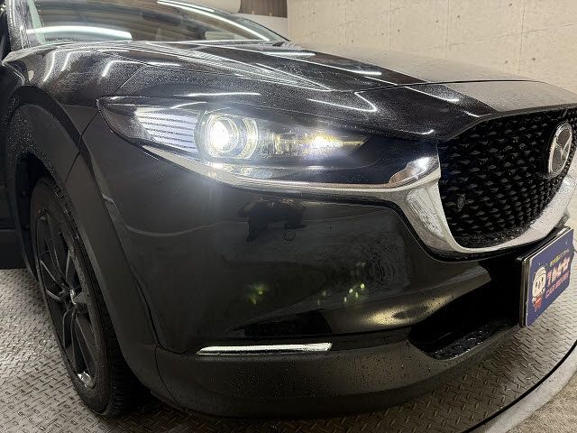 CX-30