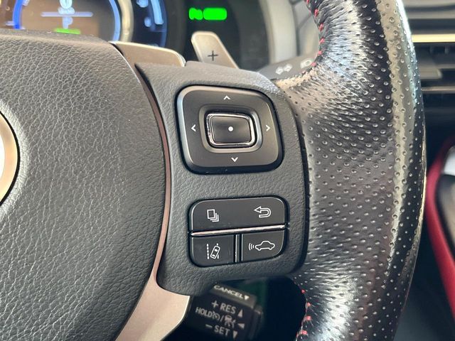 LEXUS RC300h