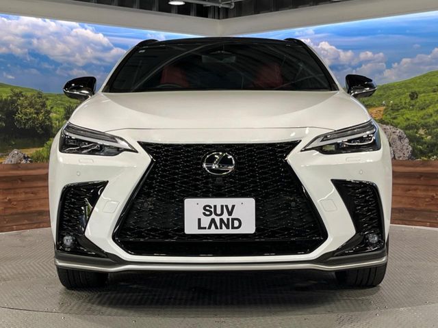 LEXUS NX350h