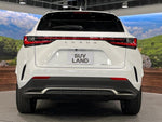 LEXUS NX350h