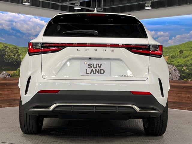 LEXUS NX350h
