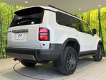 LANDCRUISER 250
