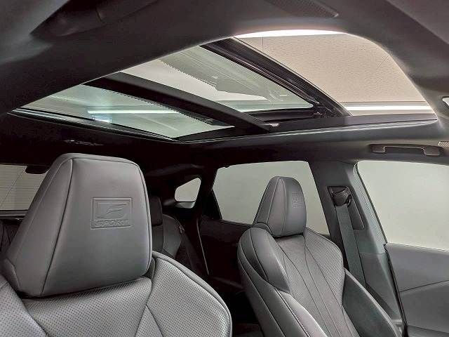 LEXUS RX500h