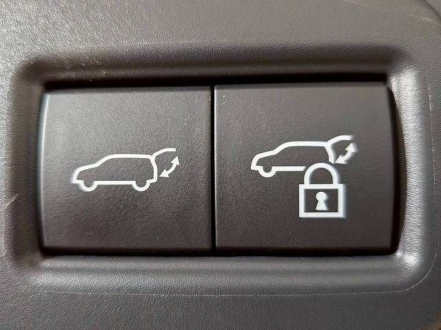 LEXUS RX500h