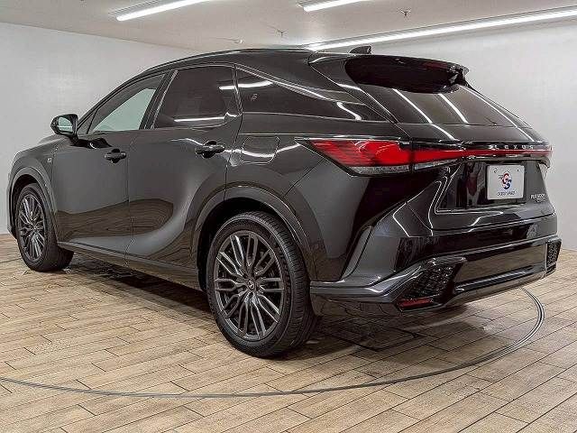 LEXUS RX500h
