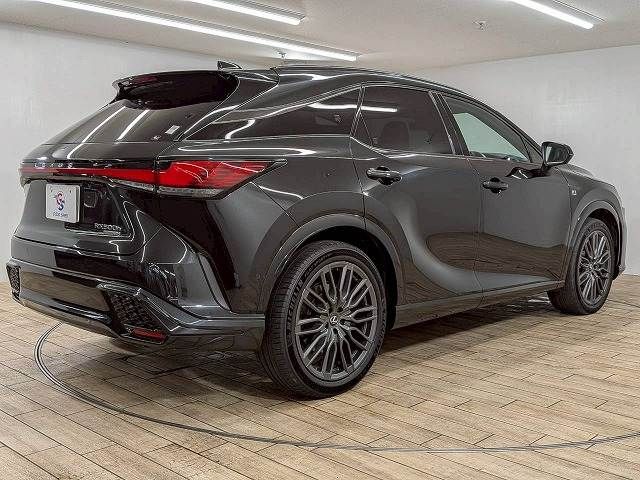 LEXUS RX500h
