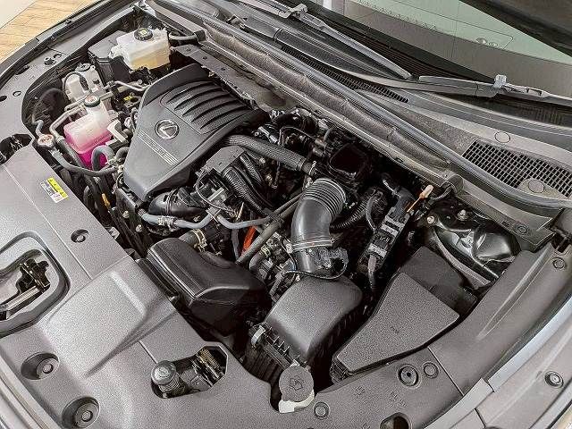 LEXUS RX500h