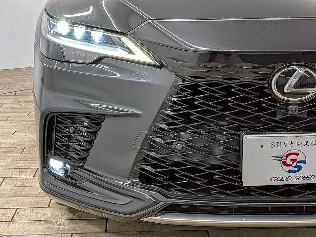 LEXUS RX500h