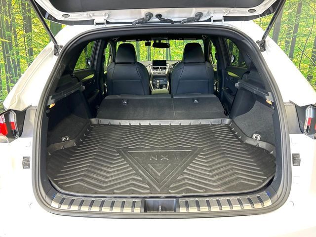 LEXUS NX200t