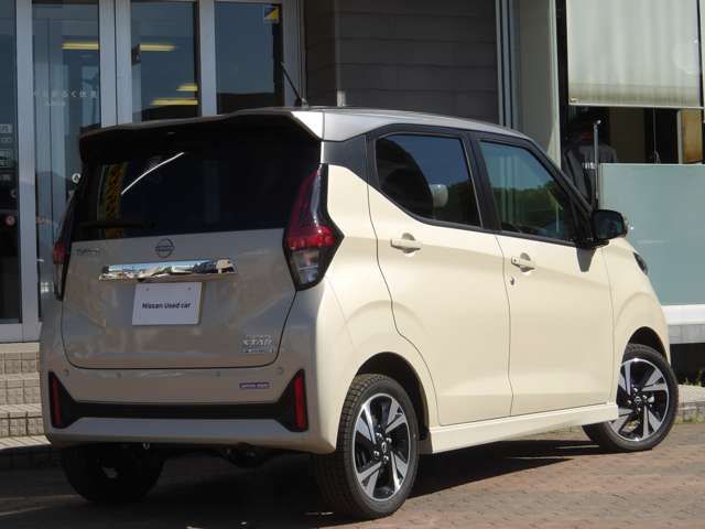 DAYZ 4WD