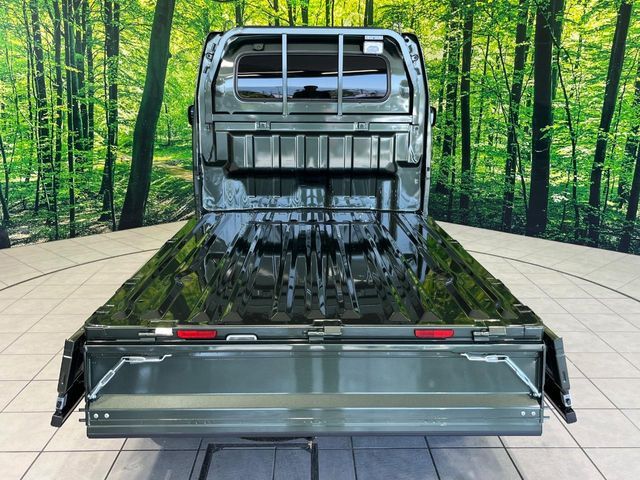 CARRY truck 4WD