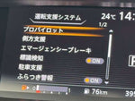 SERENA  S-HYBRID