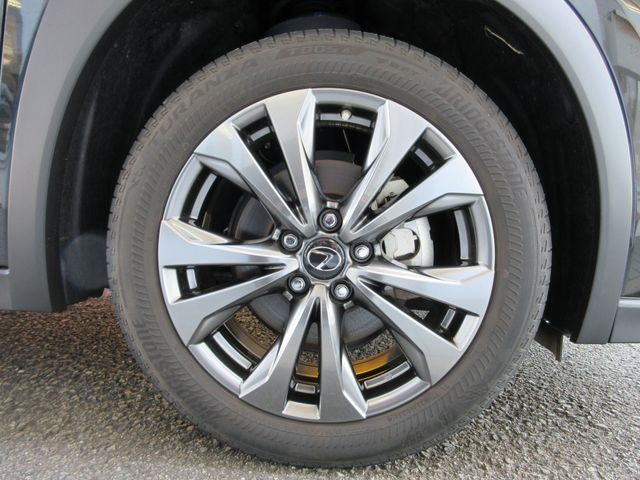 LEXUS UX200