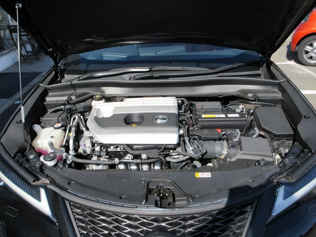 LEXUS UX200