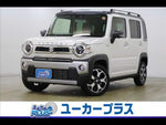 HUSTLER 4WD