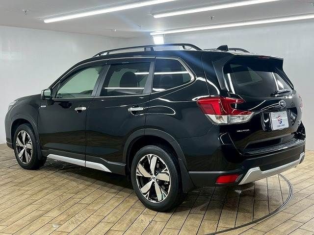 FORESTER