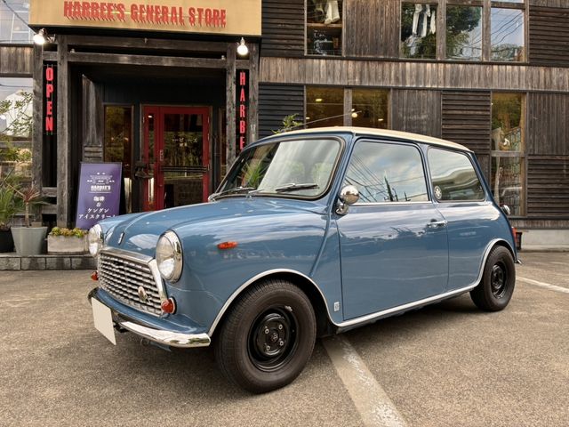ROVER MINI