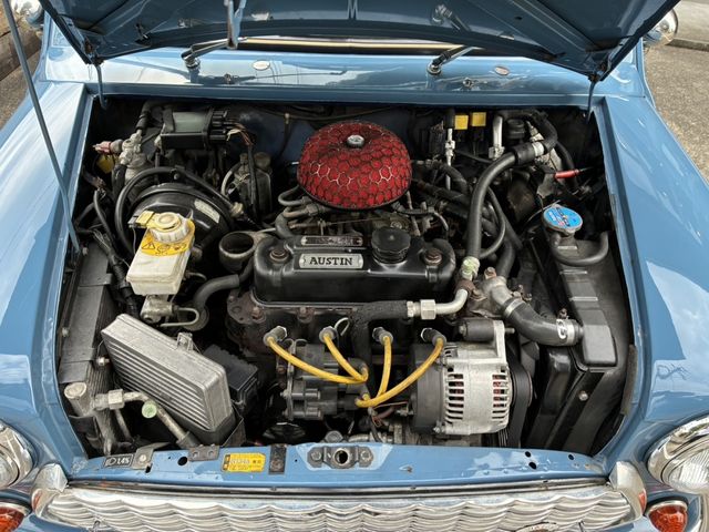 ROVER MINI