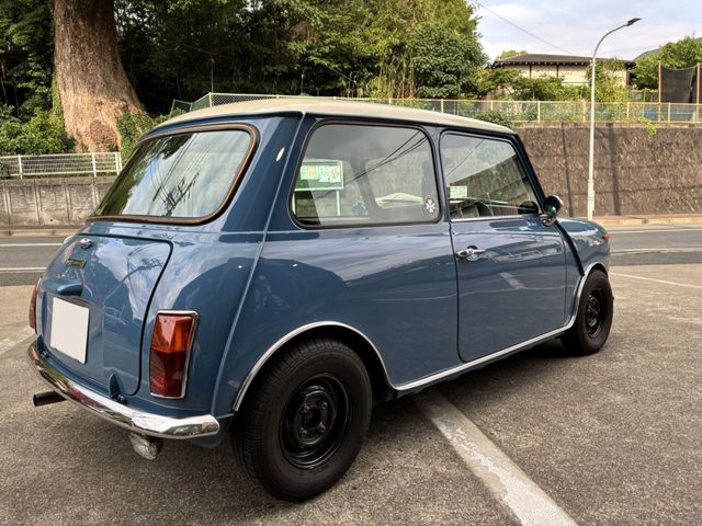 ROVER MINI