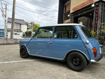ROVER MINI