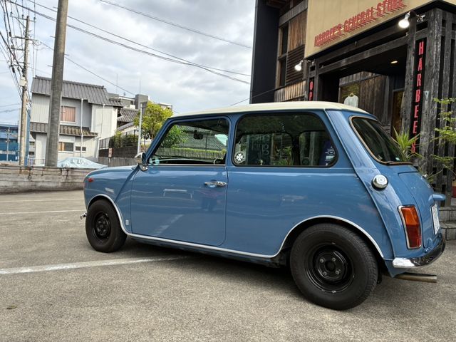 ROVER MINI