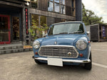 ROVER MINI