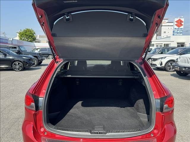 ATENZA Wagon