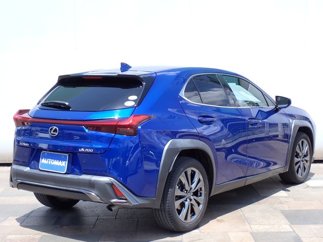 LEXUS UX200