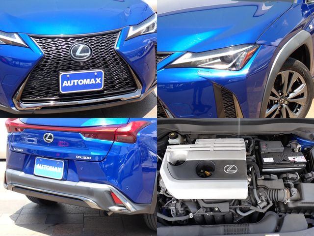 LEXUS UX200