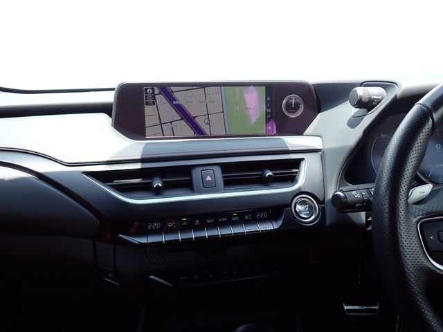LEXUS UX200
