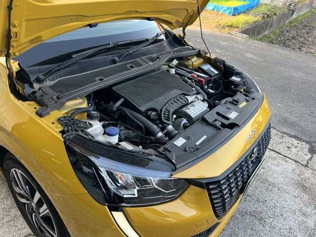 PEUGEOT 208