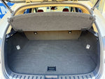 LEXUS NX300h