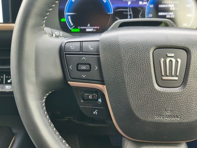 CROWN SPORT