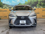 LEXUS NX350h