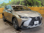 LEXUS NX350h