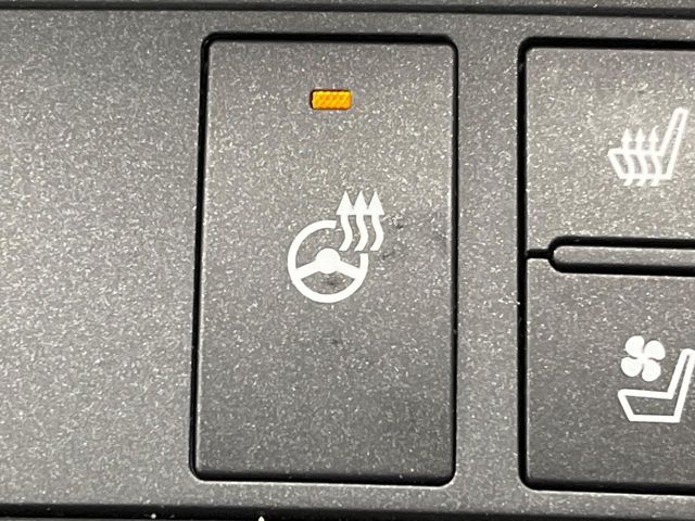 LEXUS IS300h