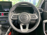RAIZE HYBRID