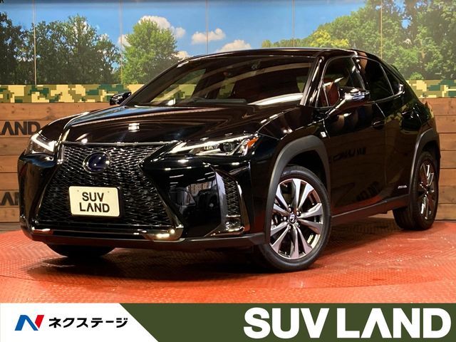 LEXUS UX250h