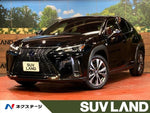 LEXUS UX250h