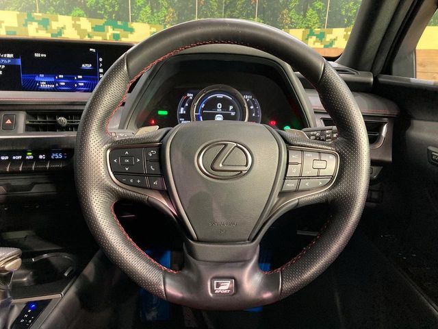 LEXUS UX250h