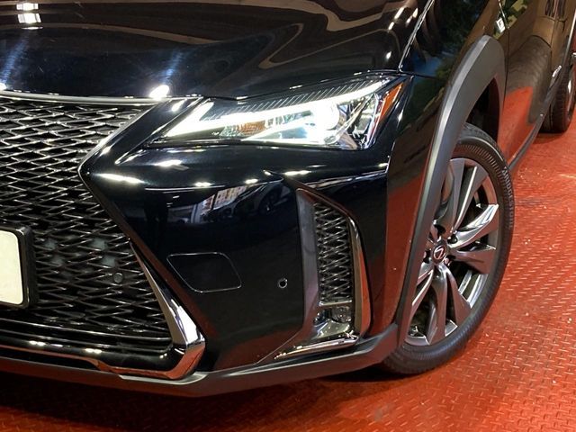 LEXUS UX250h