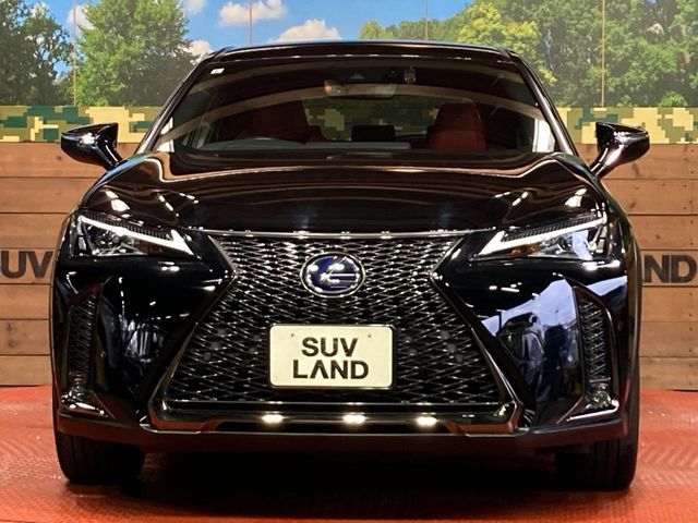 LEXUS UX250h