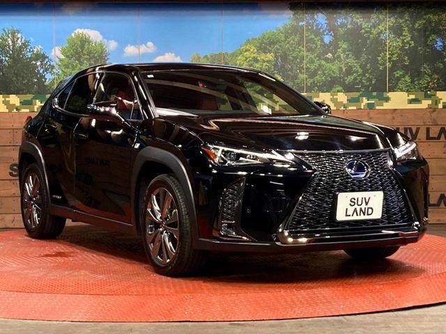 LEXUS UX250h