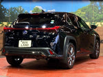 LEXUS UX250h