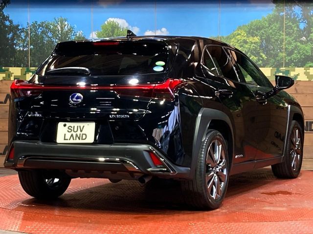 LEXUS UX250h