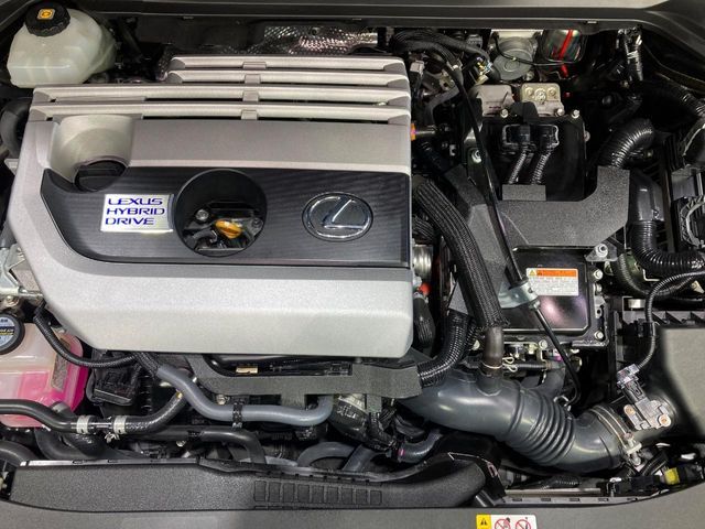 LEXUS UX250h